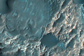 Dune Field