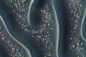 Dune Field
