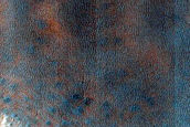 USGS Dune Database Entry Number 3490-639