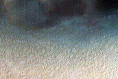 Dune Field