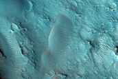 Dune Field