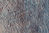 Possible Tuya