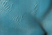 Central Kaiser Crater Dune Field