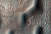 Dune Field