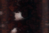 Dune Sublimation Spots