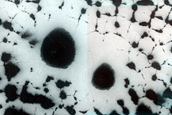 Seasonal Change of Dome Dunes and Polygonal Features in South Polar Region