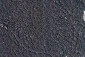 Flows North of Source of Athabasca Valles