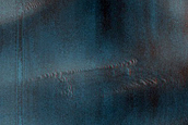 Dune Monitoring in Moreux Crater