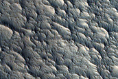 Candidate Recent Impact Site
