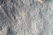 Gully Monitoring
