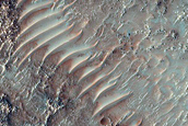 Eroded Floor of Paleolake