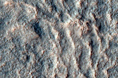 Terrain Sample