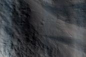 Terrain Sample