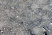 Terrain Sample