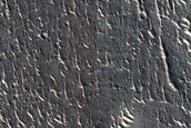 Terrain Sample