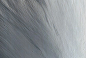 Frost Survey in Steep and Fresh-Looking Crater