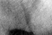 Dune Survey