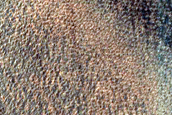 Dune Survey
