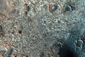 Dune Survey