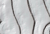 South Polar Residual Cap Site