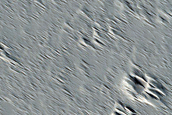 Candidate Recent Impact Site