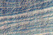 Spiders with Fans near South Polar Layered Deposits