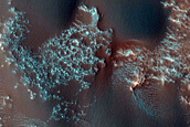 Dune Survey