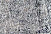 Terrain Sample
