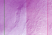 South Polar Crater