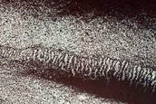 Gully Monitoring