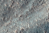 Compositionally Diverse Crater Filling