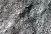 Terrain Sample