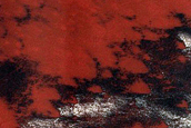 Terrain Sample in Reynolds Crater