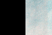 Dune Survey