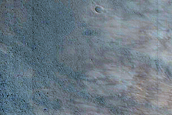 Gully Monitoring