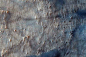 Dune Survey