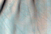 Dune Survey
