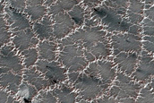 South Polar Residual Cap Site