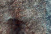 Dune Survey