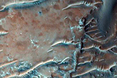 Dune Survey