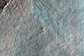 Gully Monitoring