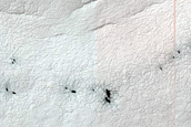 Terrain Sample