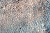 Terrain Sample