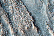 Gully Monitoring