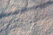 Gully Monitoring