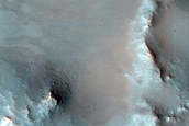Dune Field