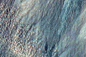 Hale Crater Gullies Seen in MOC Image R0700653