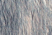 Gully Monitoring
