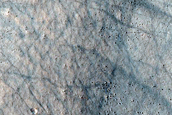 Terrain Sample
