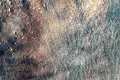 Dune Field